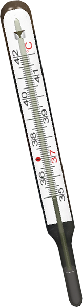 Medical Thermometer.png